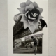 2026 - Not so small talks. Collage 42 x 30 cm . Available 370€