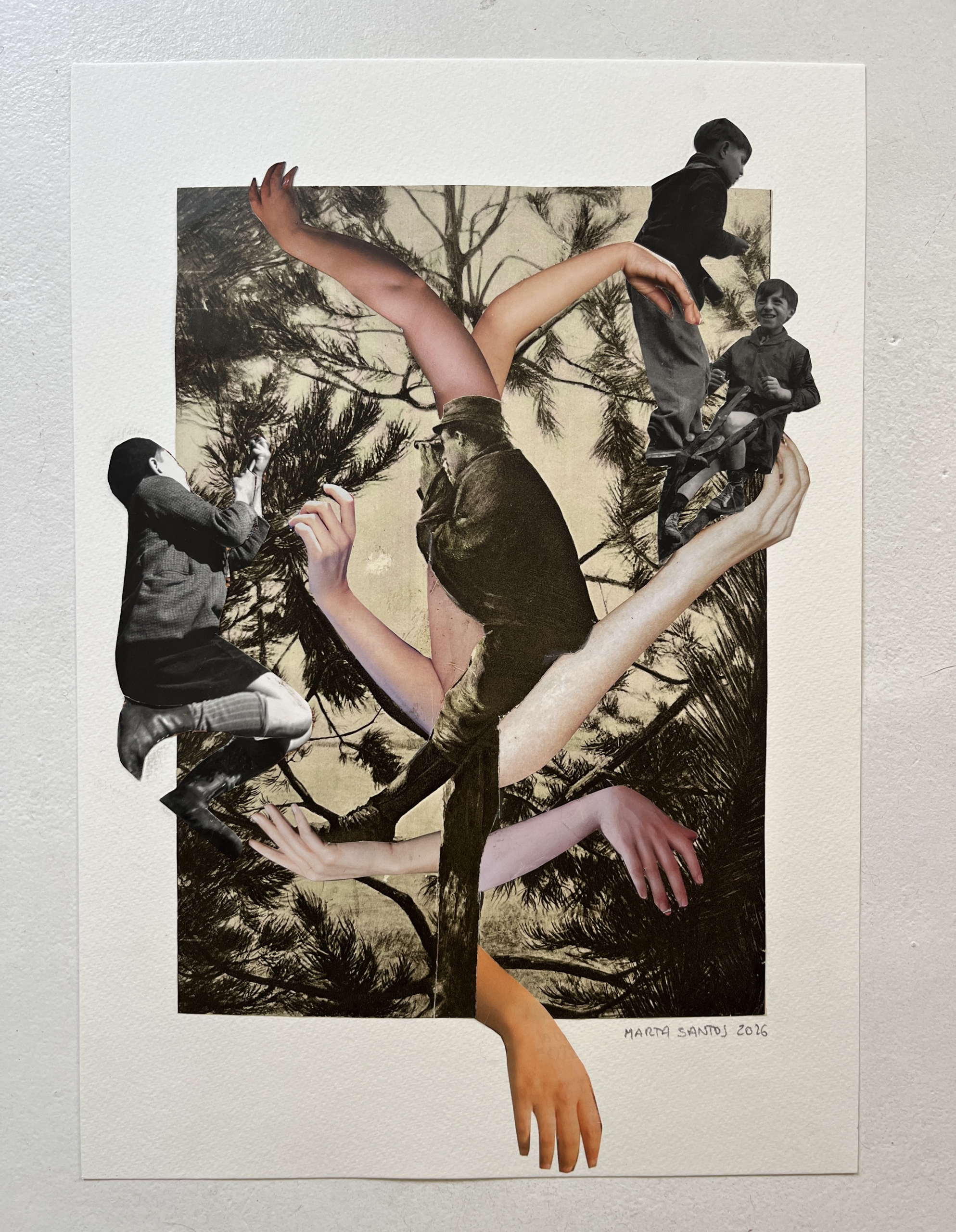 2026 - Not so small talks. Collage 42 x 30 cm . Available 370€